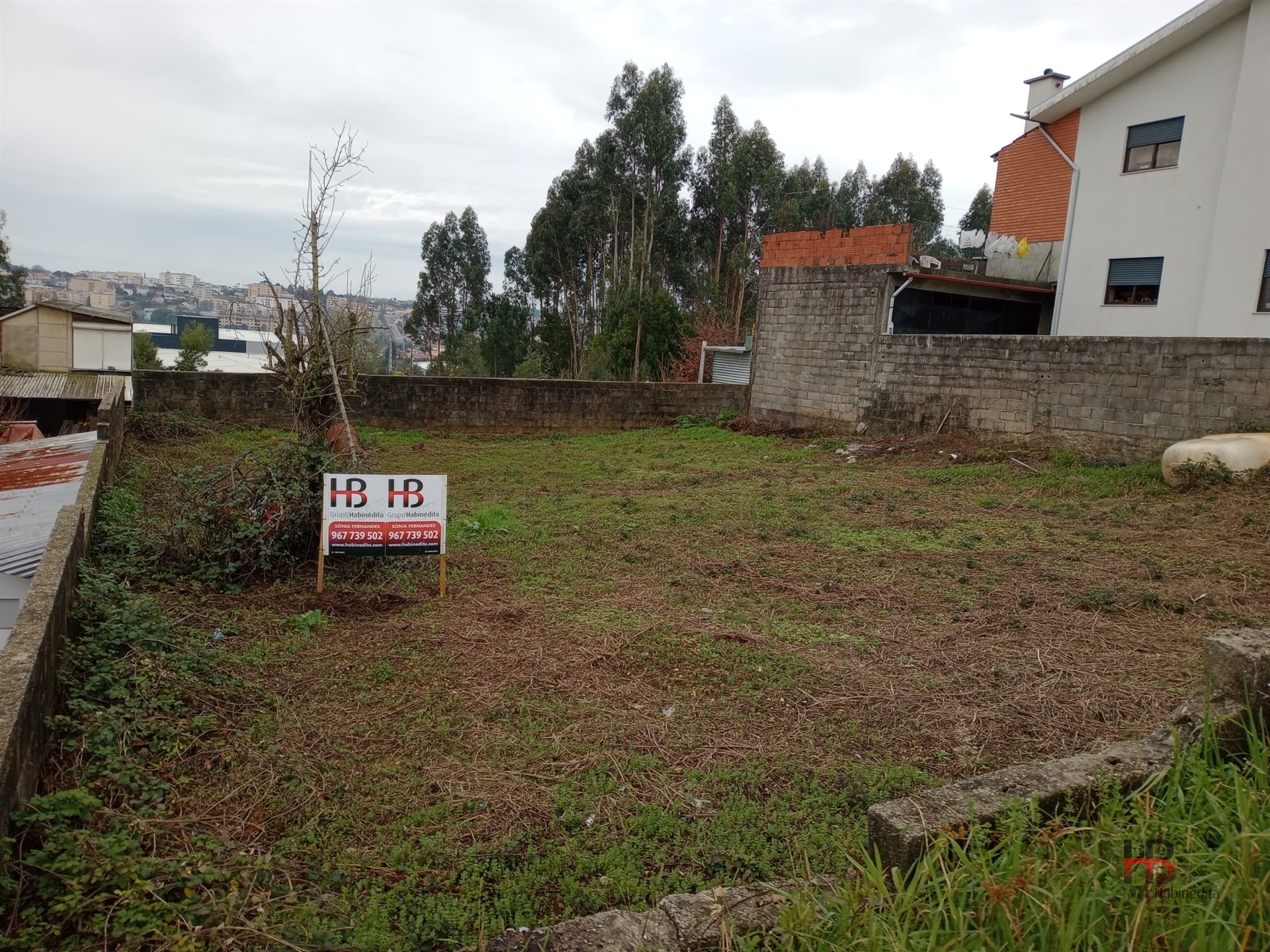 Real Estate building
