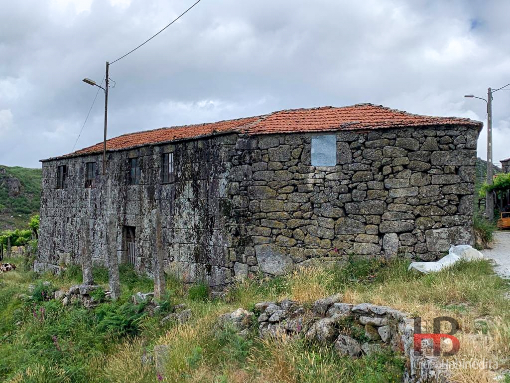 Quinta T5