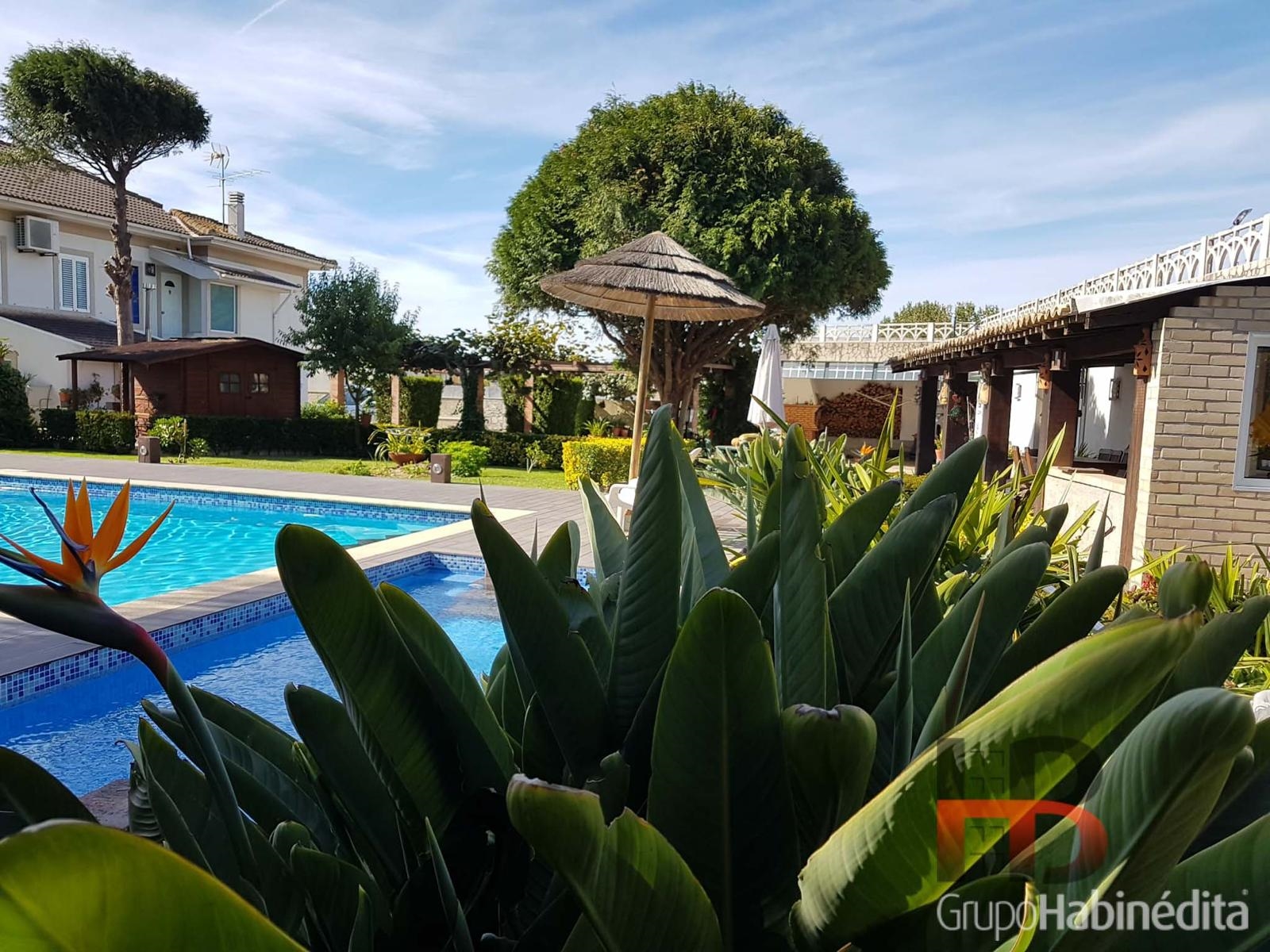 Quinta T5